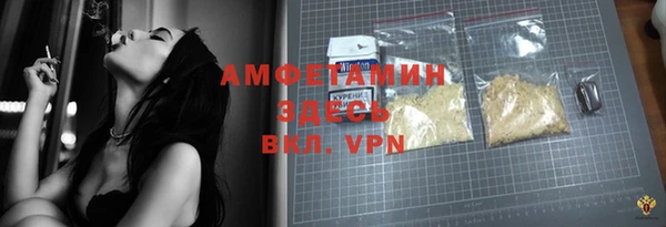 сатива Богданович