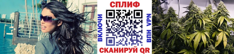 Канабис планчик Губкинский